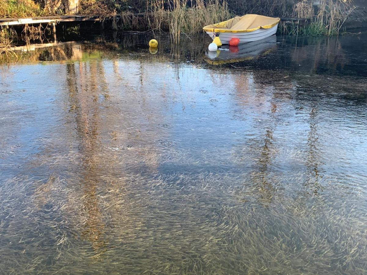 Topart Apartman I Balatonfenyves Luaran gambar