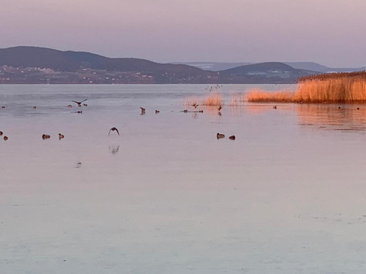 Topart Apartman I Balatonfenyves Luaran gambar