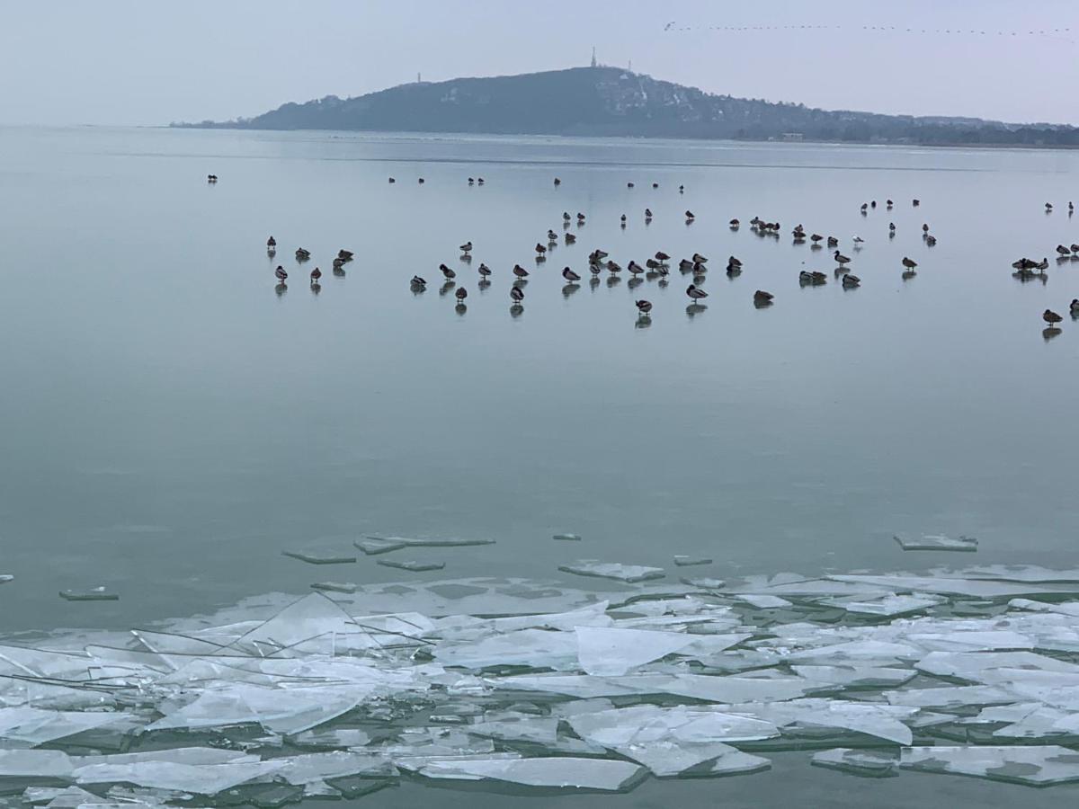 Topart Apartman I Balatonfenyves Luaran gambar